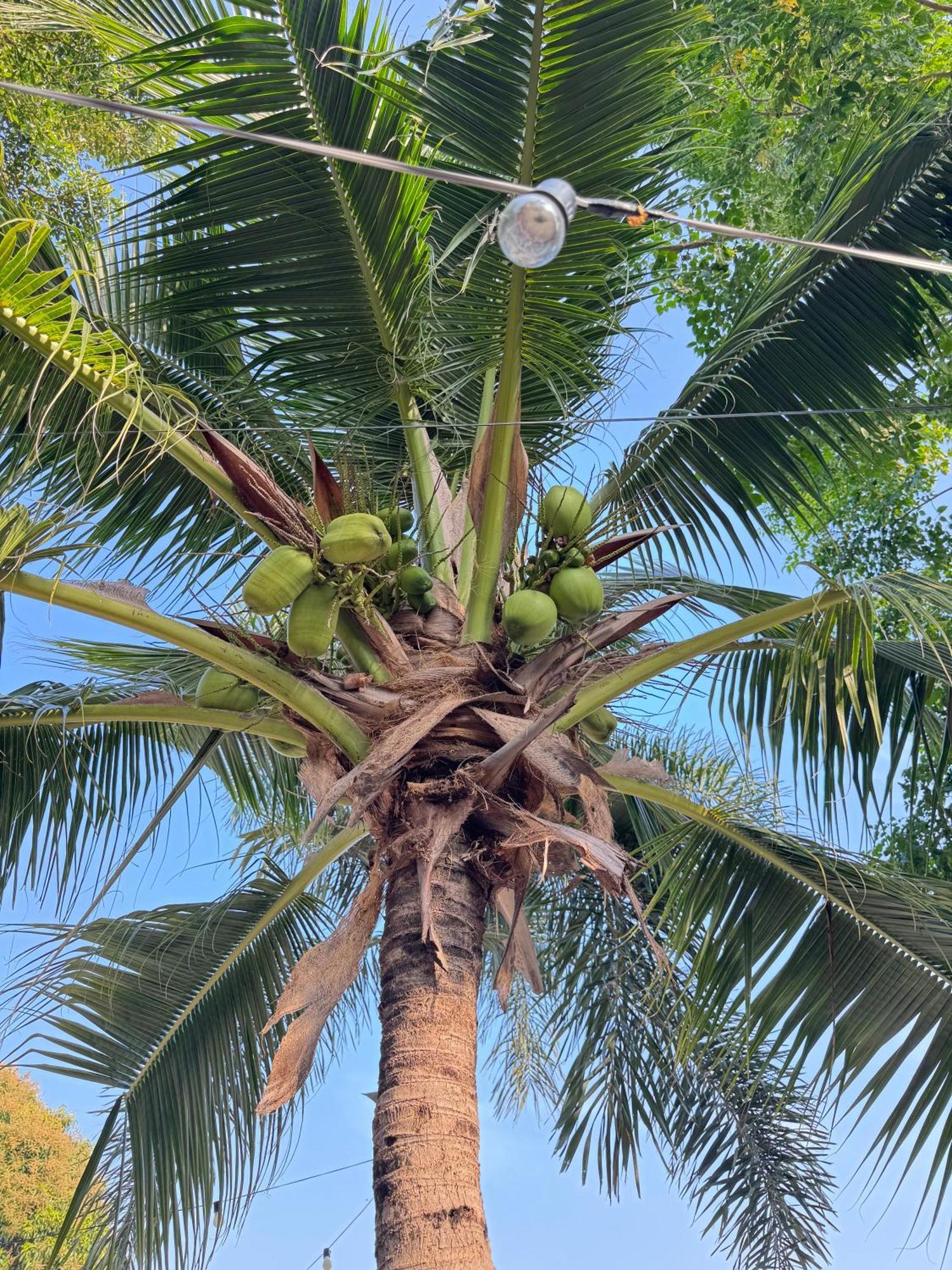 Rang Noknoy Resort At Kohlarn Luaran gambar